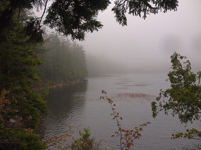 [Trees and water in the foreground with very heavy fog in the not-to-far distance.]